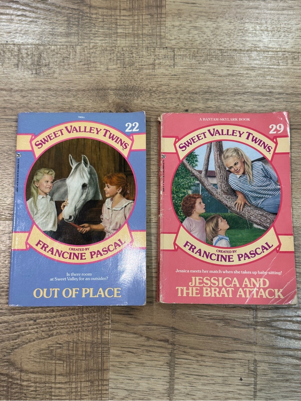 Sweet Valley Twins Book Set - Pink & Blue Covers